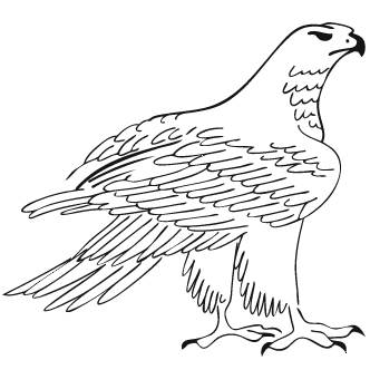 Vector de Aguilas