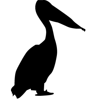 Vector de Pelicano