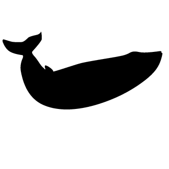 Vector de Ballenas