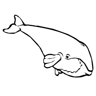 Vector de Ballenas