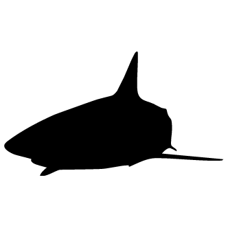 Vector de Tiburones