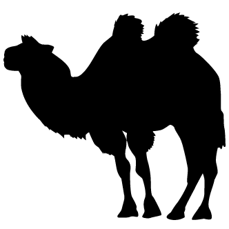 Vector de Camello