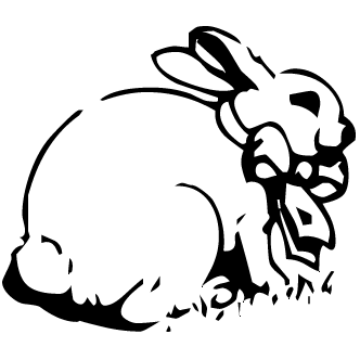 Vector de Conejos