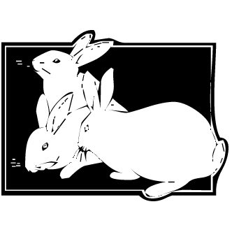 Vector de Conejos