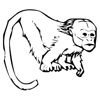 Vector de Monos