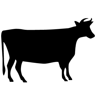 Vector de Vaca