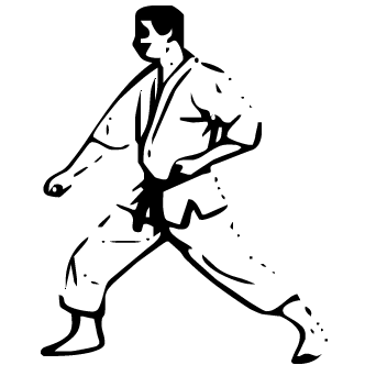 Vector de Karate