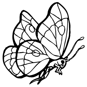 Vector de Mariposa