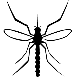 Vector de Mosquito