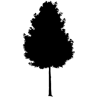 Vector de Arboles