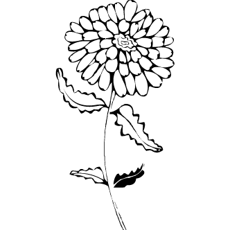 Vector de Flores Abstractas Solas Con Tallo