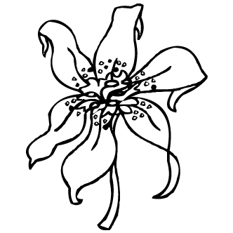 Vector de Flores Abstractas Solas Sin Tallos