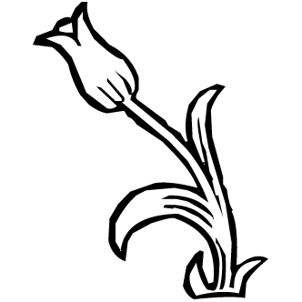 Vector de Tulipanes