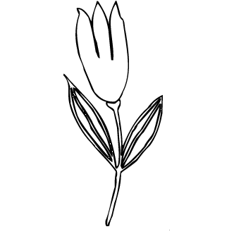 Vector de Tulipanes